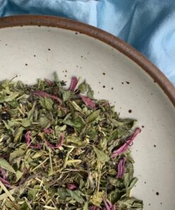 The Fortress Kit (Immunity)