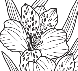 Flower Coloring Book - Complimentary - Image 3